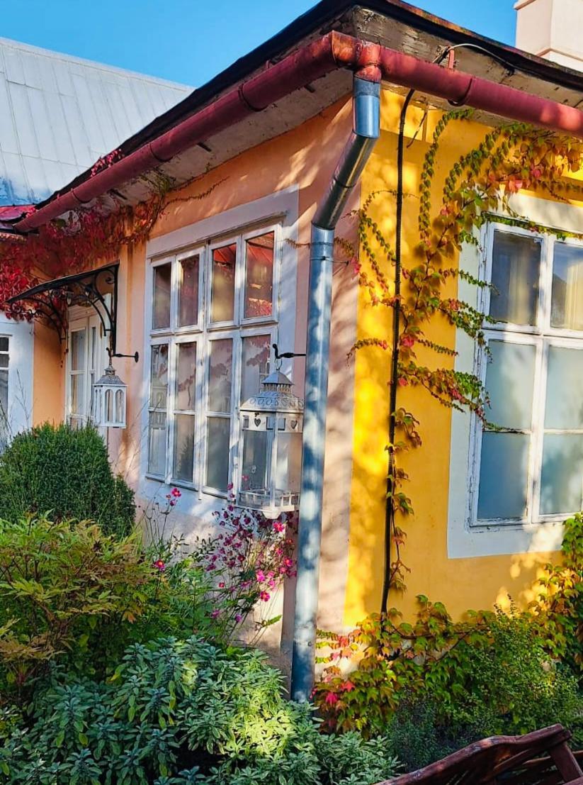 Vila Stiavnica Banská Štiavnica 外观 照片